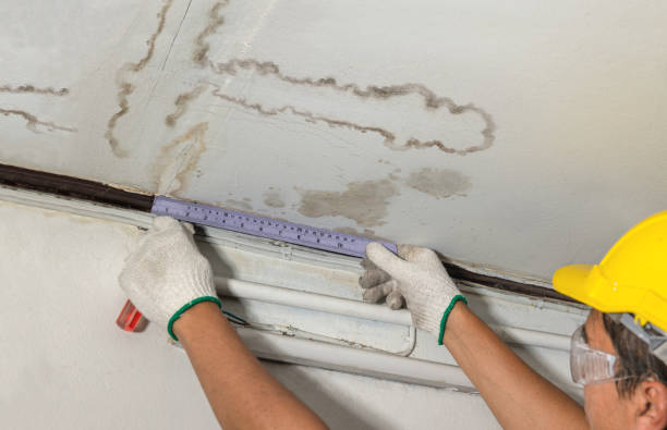Reliable Mold Remediation contractor in Lawton, OK by Local Water Damage Repair